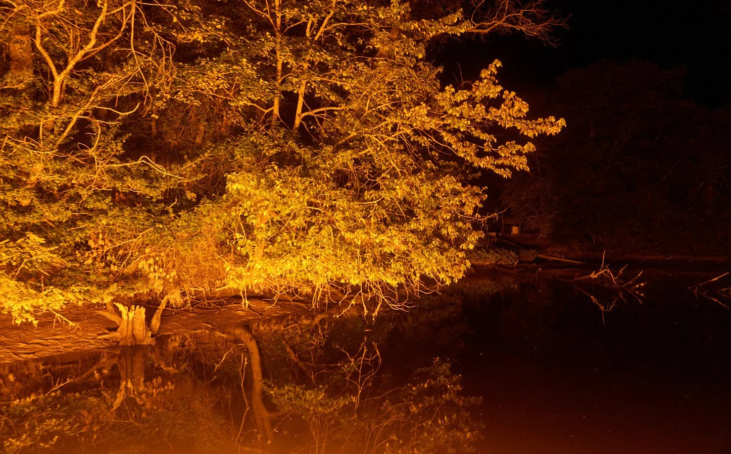 0715_Bowfishing__380.jpg