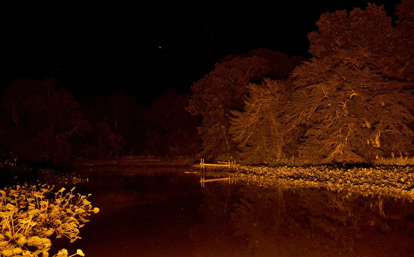 0715_Bowfishing__354.jpg