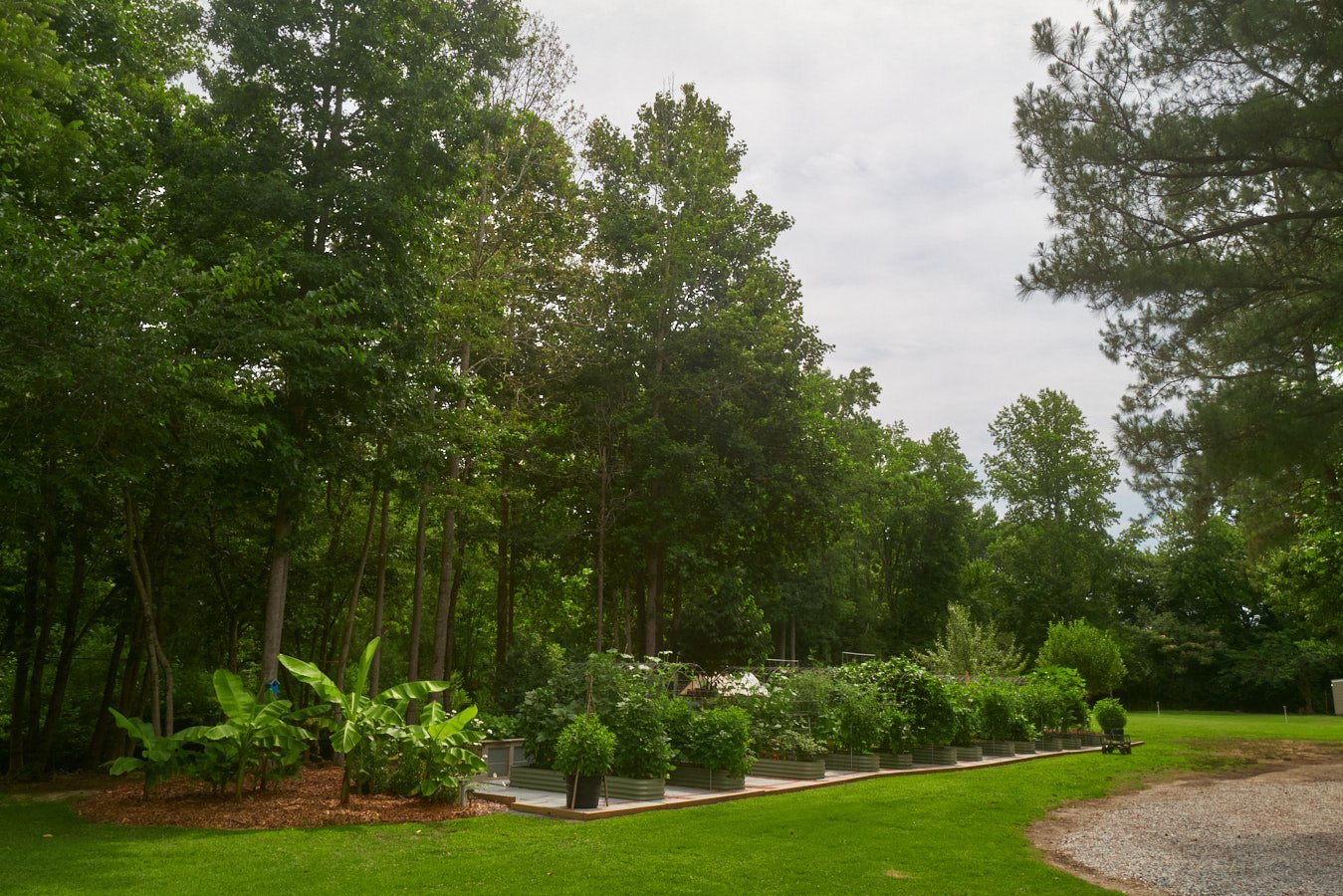 0616_PawPawRidge_151.jpg