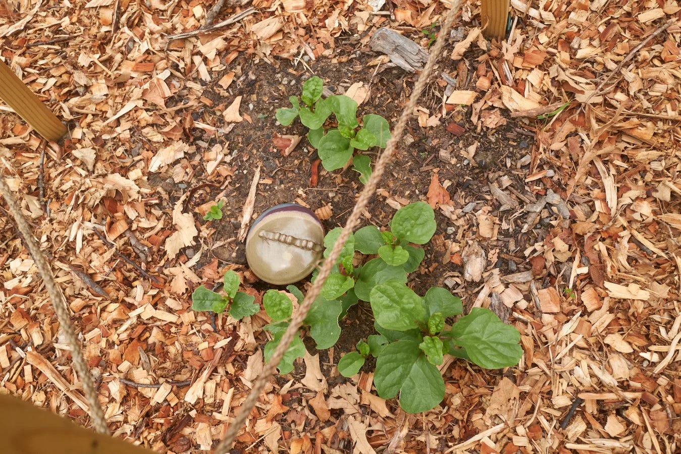 0616_PawPawRidge_095.jpg