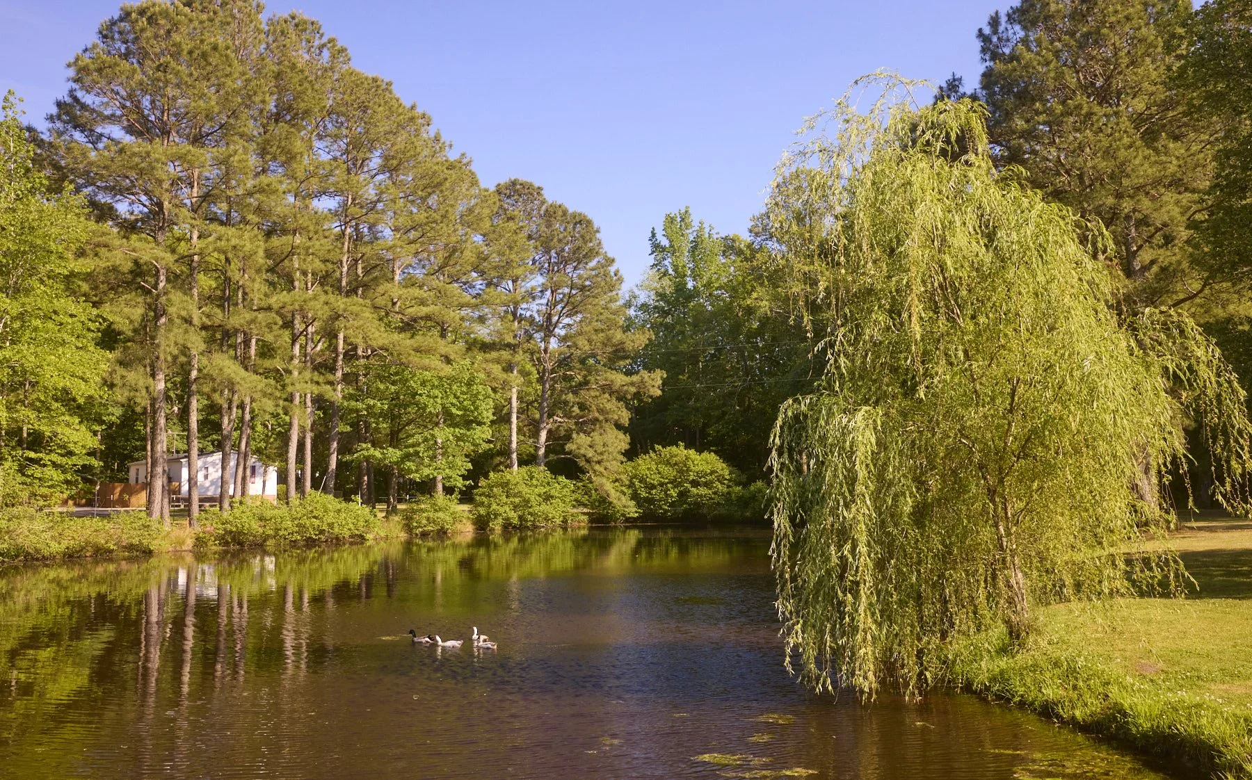 0510_Wakefield_351.jpg