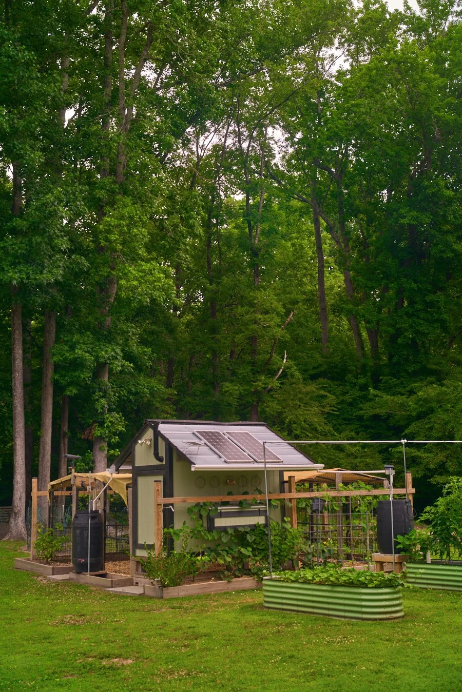 0616_PawPawRidge_038.jpg