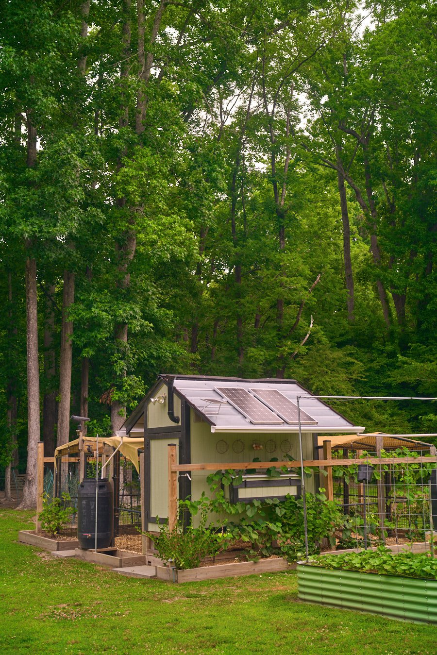 0616_PawPawRidge_036.jpg
