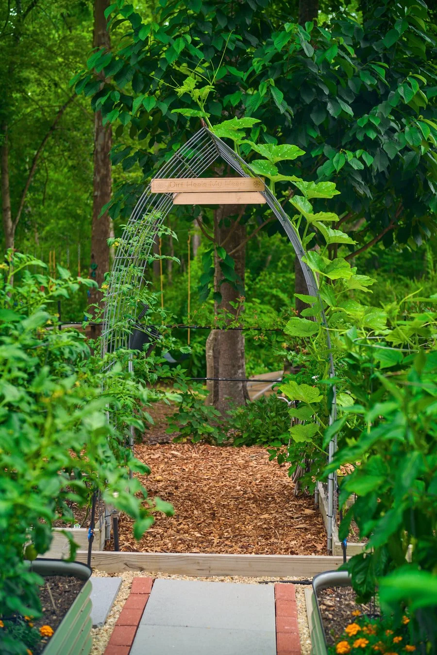 0616_PawPawRidge_015.jpg