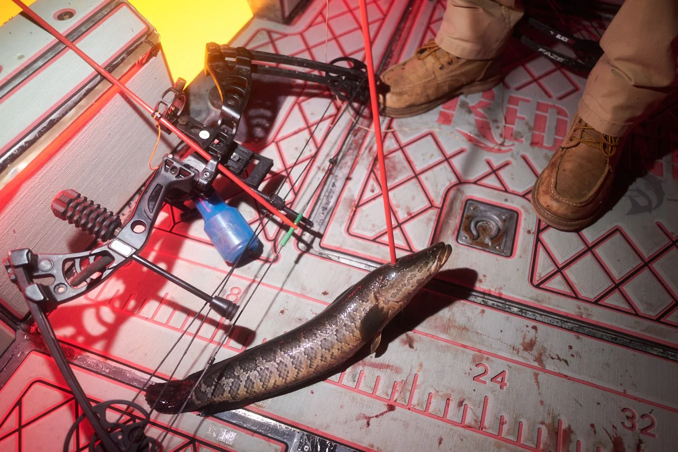 0715_Bowfishing__345.jpg