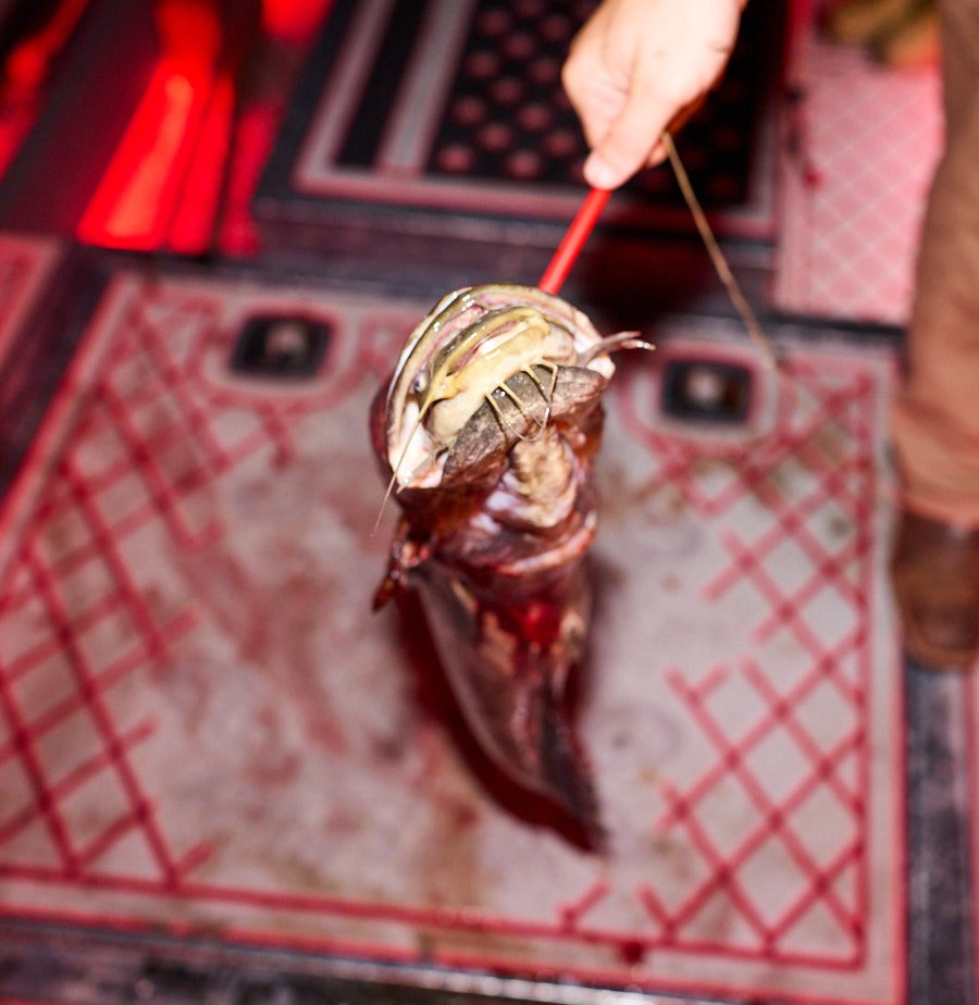 0715_Bowfishing__393.jpg