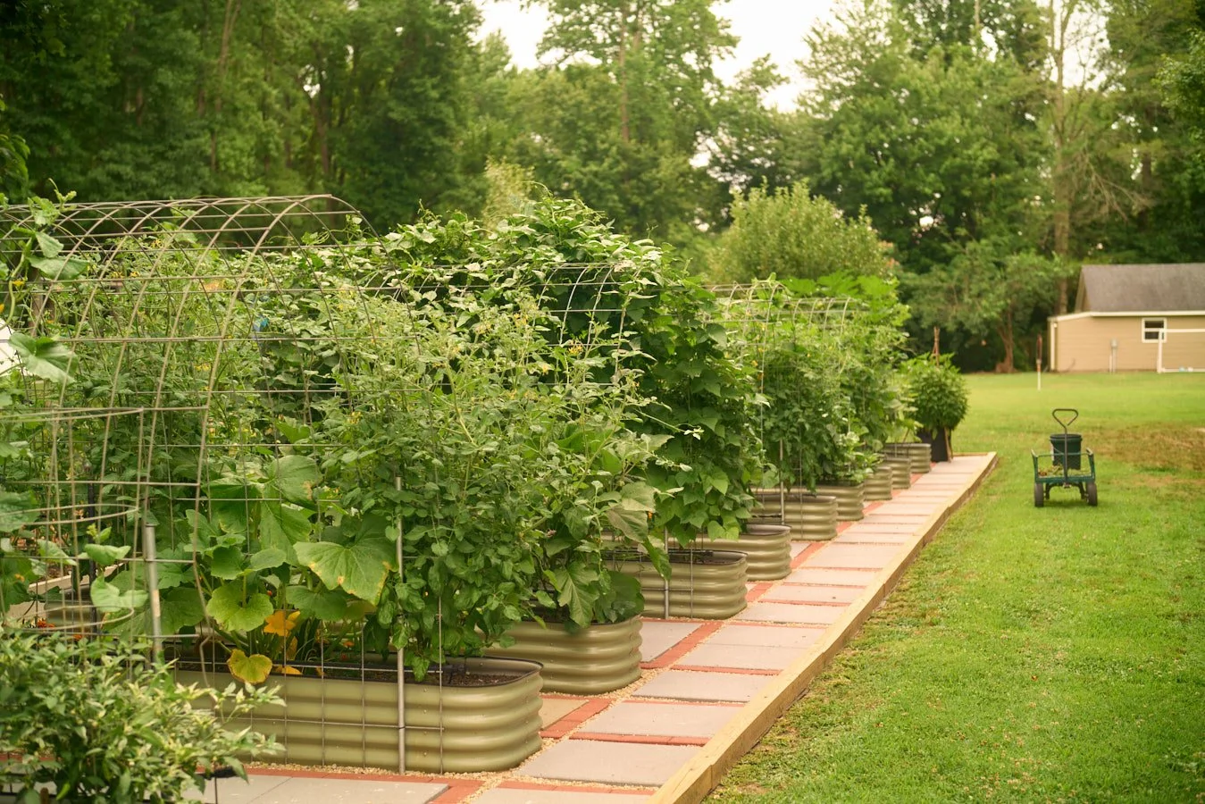 0616_PawPawRidge_003.jpg
