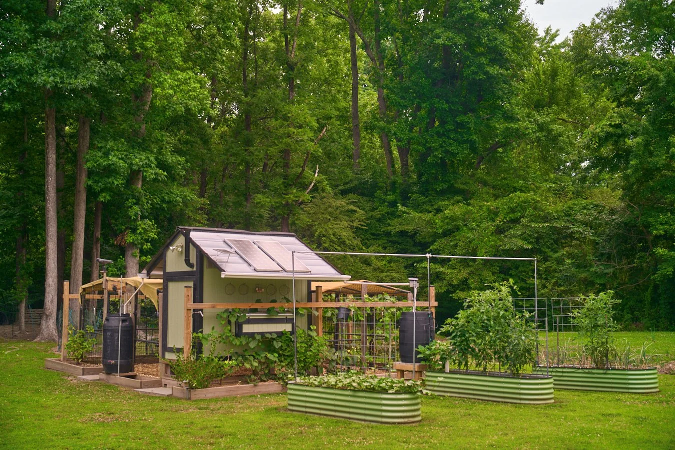 0616_PawPawRidge_037.jpg