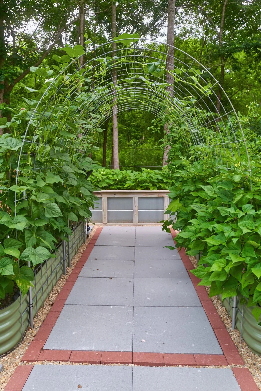 0616_PawPawRidge_079.jpg