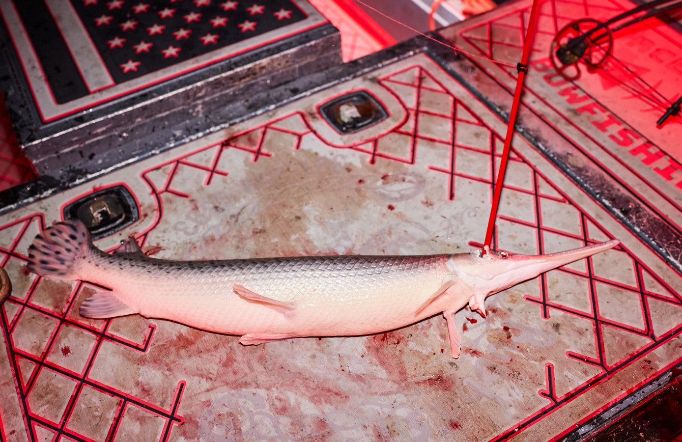 0715_Bowfishing__420.jpg
