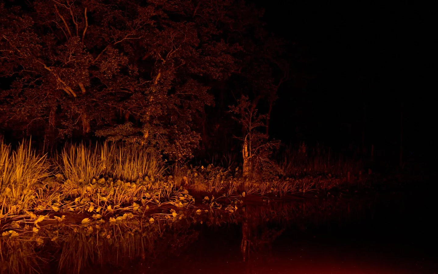 0715_Bowfishing__316.jpg