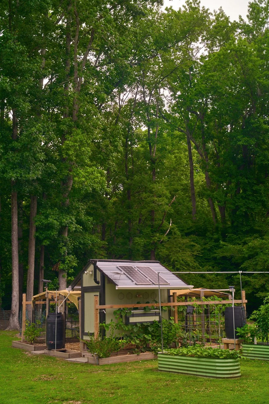 0616_PawPawRidge_039.jpg