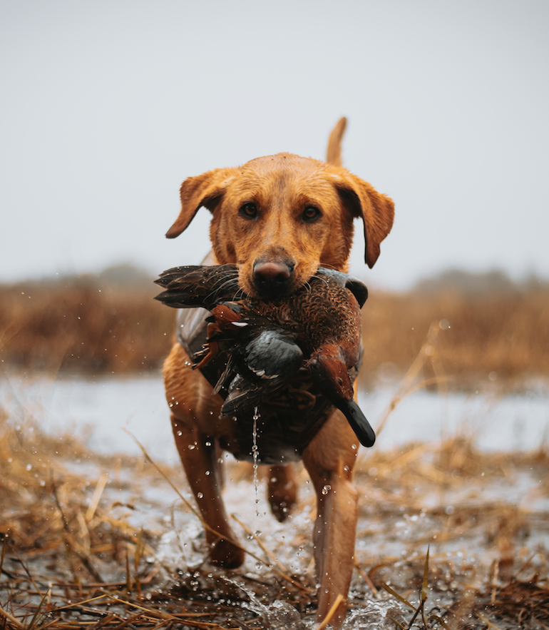 Screen Shot 2023-04-28 at 5.37.03 PM.png