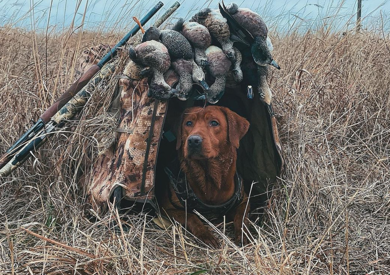 Screenshot 2024-11-17 at 6.52.26 PM.png