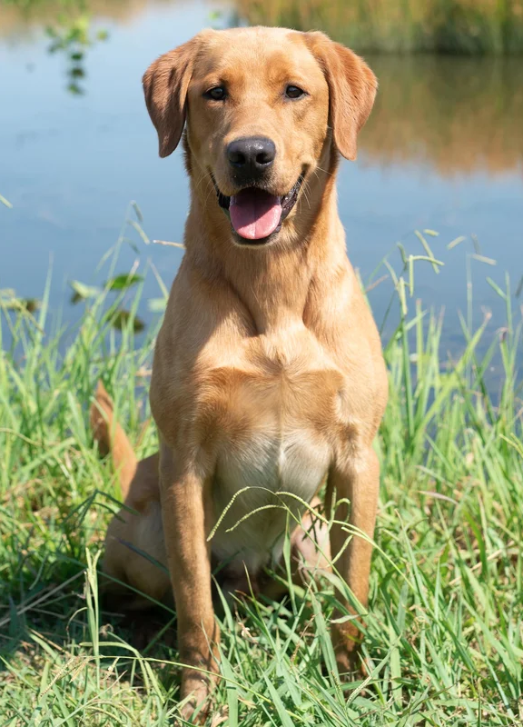 Screenshot 2024-11-18 at 7.20.55 PM.png