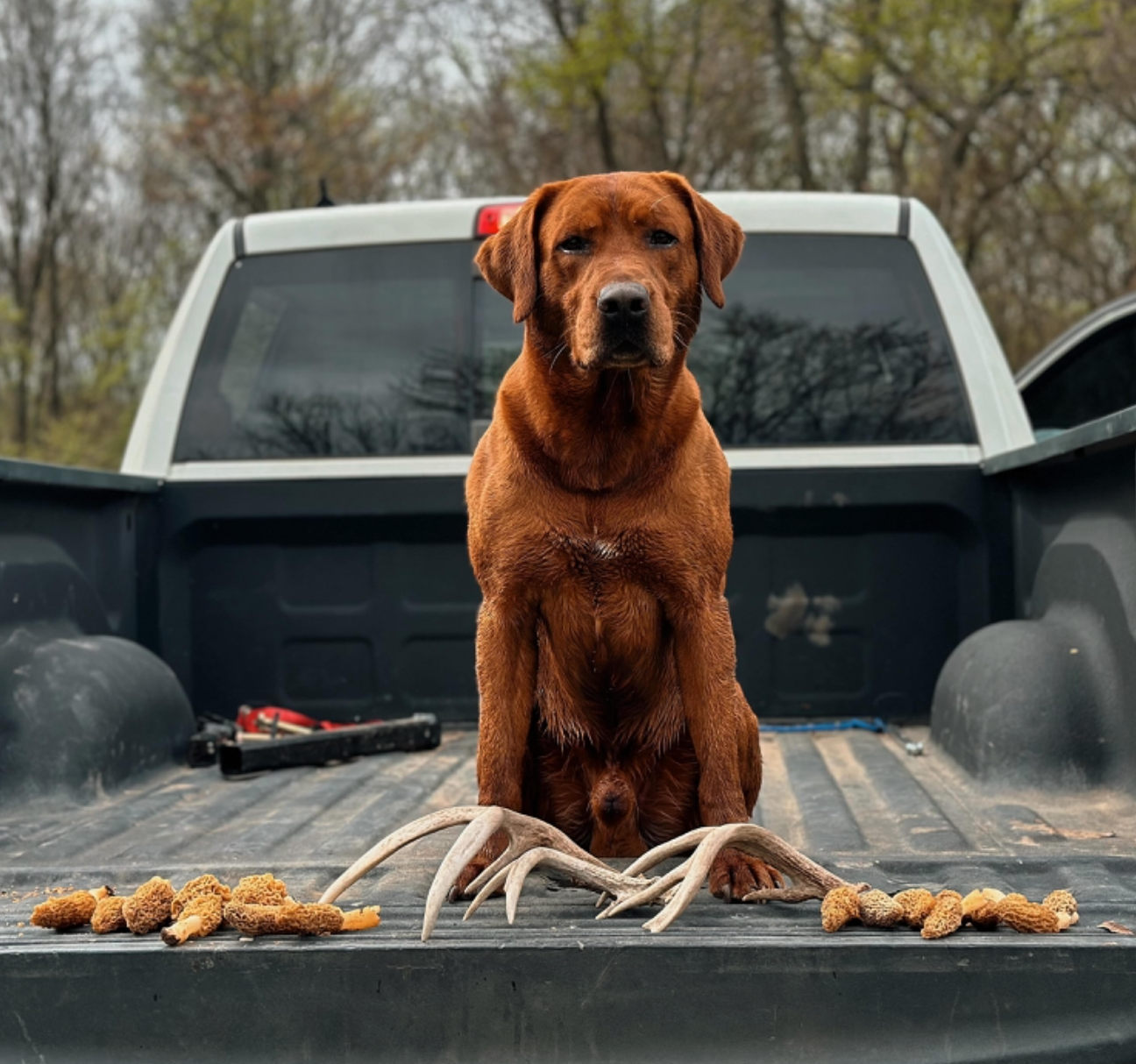 Screenshot 2024-11-15 at 12.25.19 PM.png