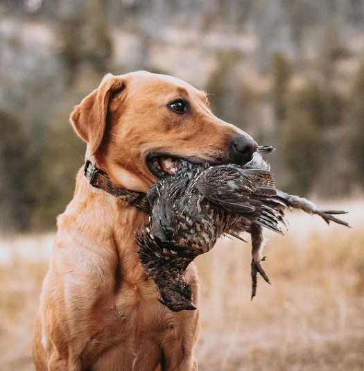 Screen Shot 2023-04-28 at 5.40.12 PM.png