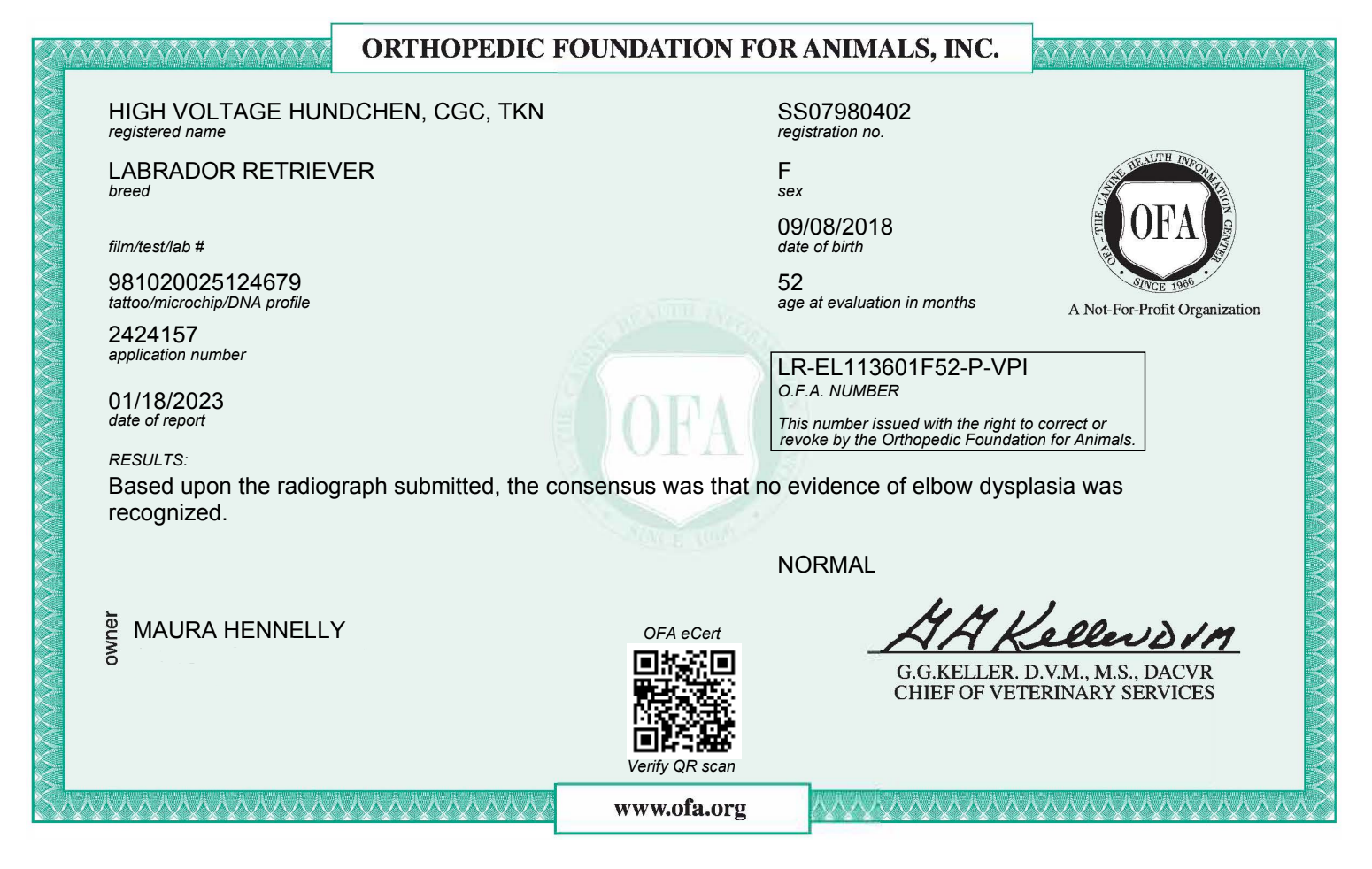 Screenshot 2024-11-08 at 1.27.32 PM.png