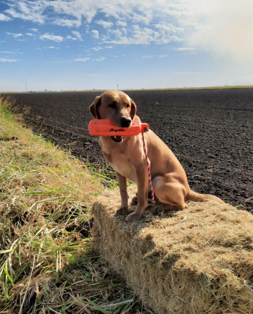 Screenshot 2024-11-18 at 7.19.35 PM.png