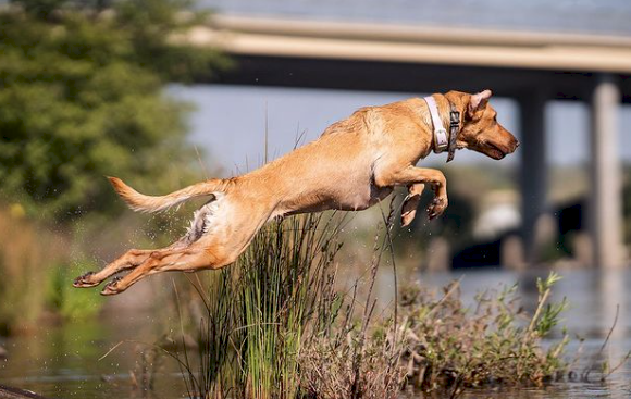 Screen Shot 2023-04-28 at 5.46.13 PM.png