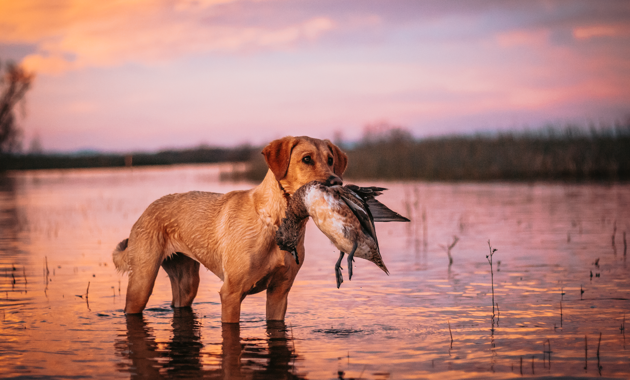 Screenshot 2025-09-30 at 9.05.41 AM.png