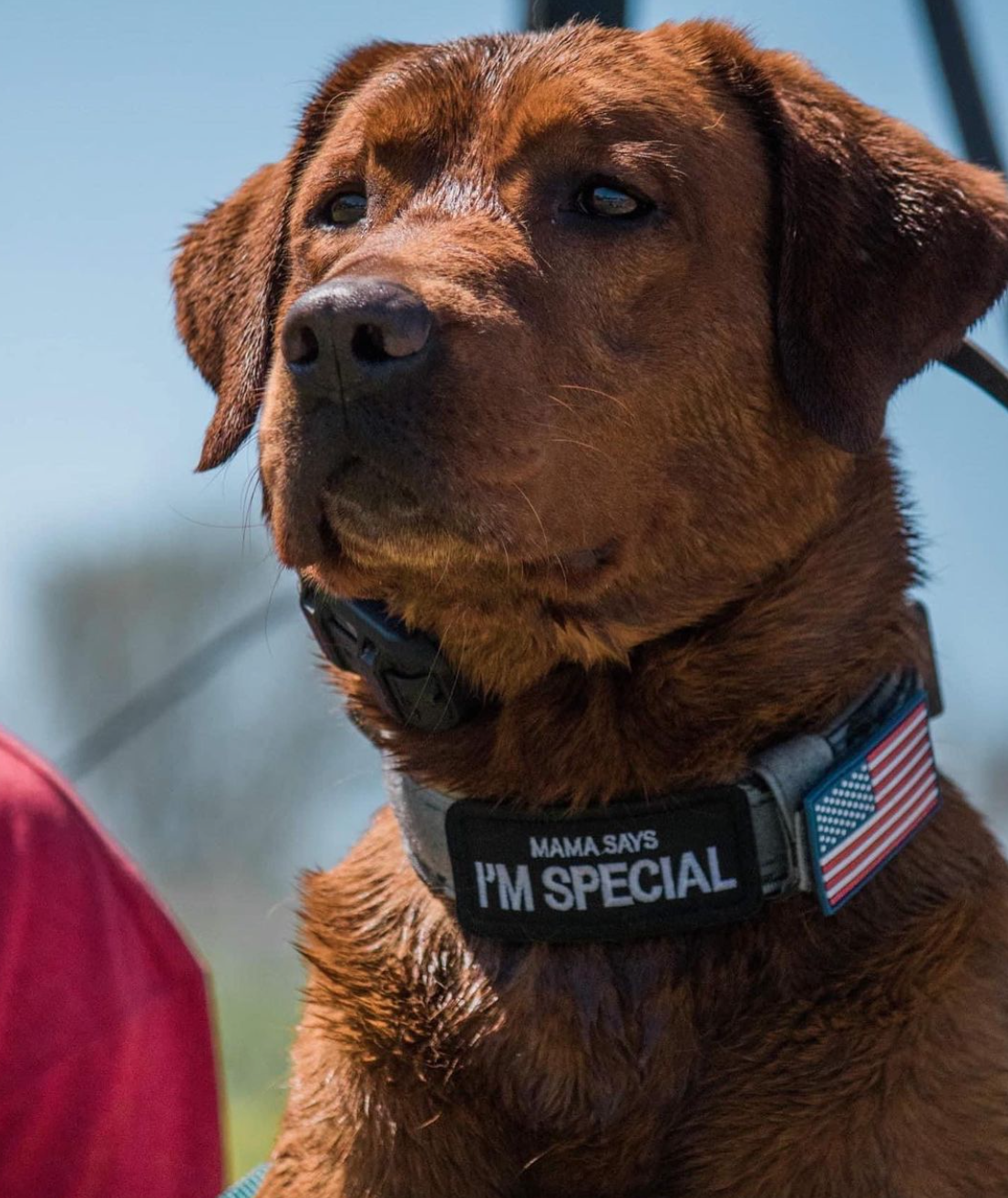 Screenshot 2024-11-17 at 6.50.19 PM.png