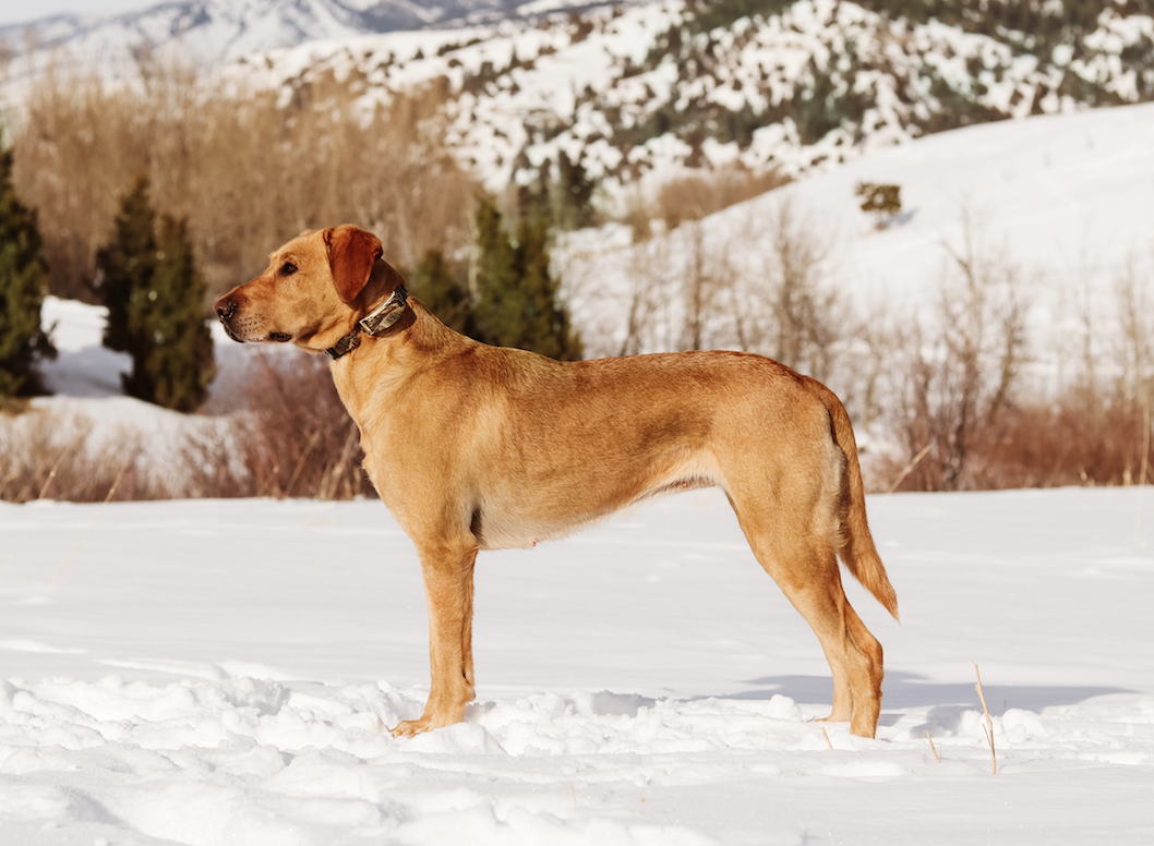 Screen Shot 2023-04-28 at 5.42.52 PM.png