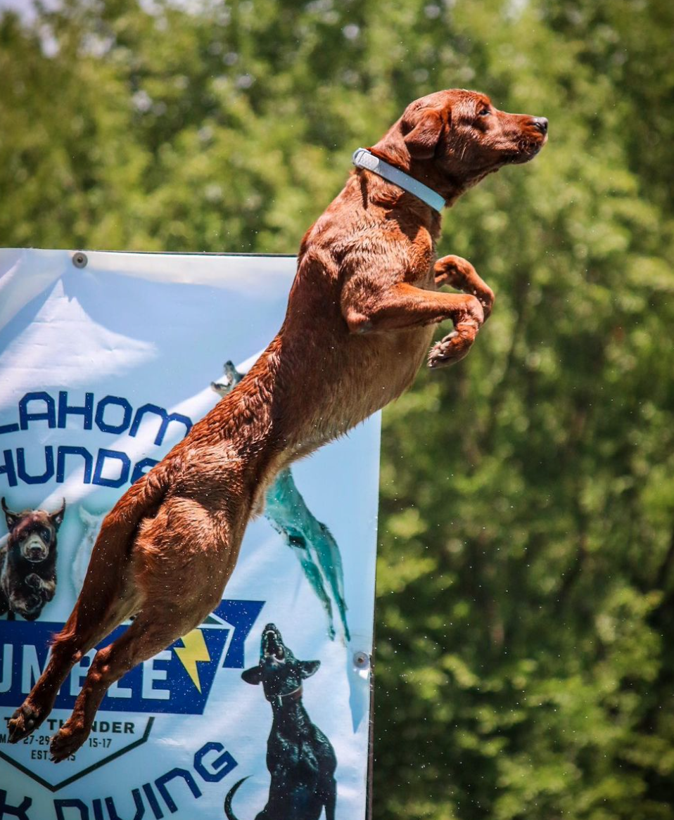 Screenshot 2024-11-17 at 6.51.44 PM.png