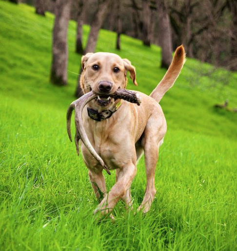 Screen Shot 2023-04-28 at 5.46.27 PM.png