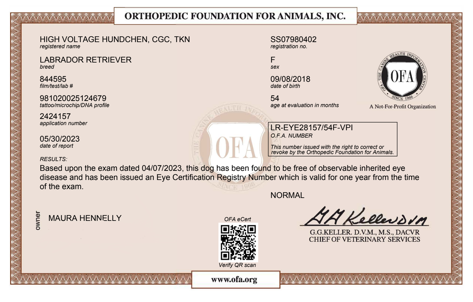 Screenshot 2024-11-08 at 1.27.49 PM.png