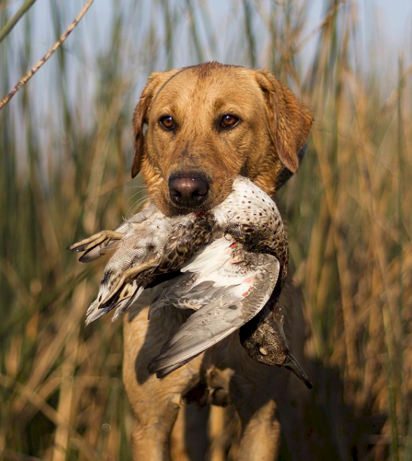 Screen Shot 2023-04-28 at 5.43.34 PM.png