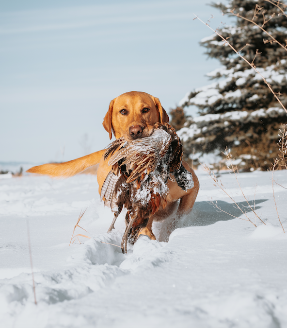 Screen Shot 2023-04-28 at 5.36.12 PM.png