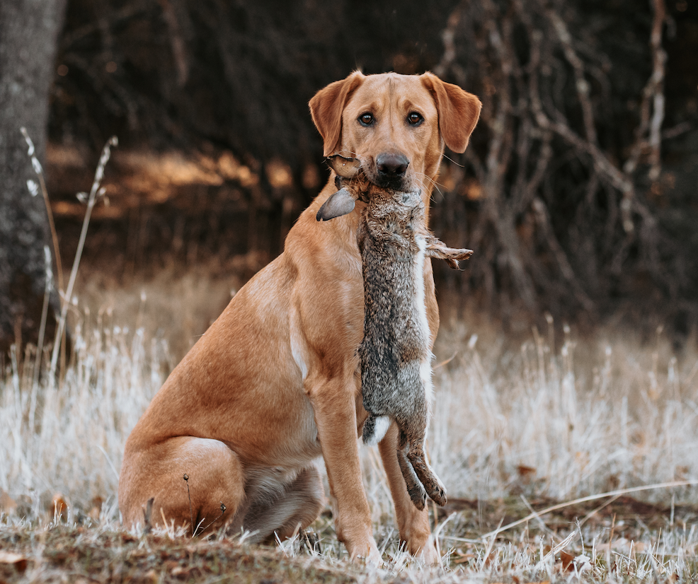 Screen Shot 2023-04-28 at 5.54.22 PM.png