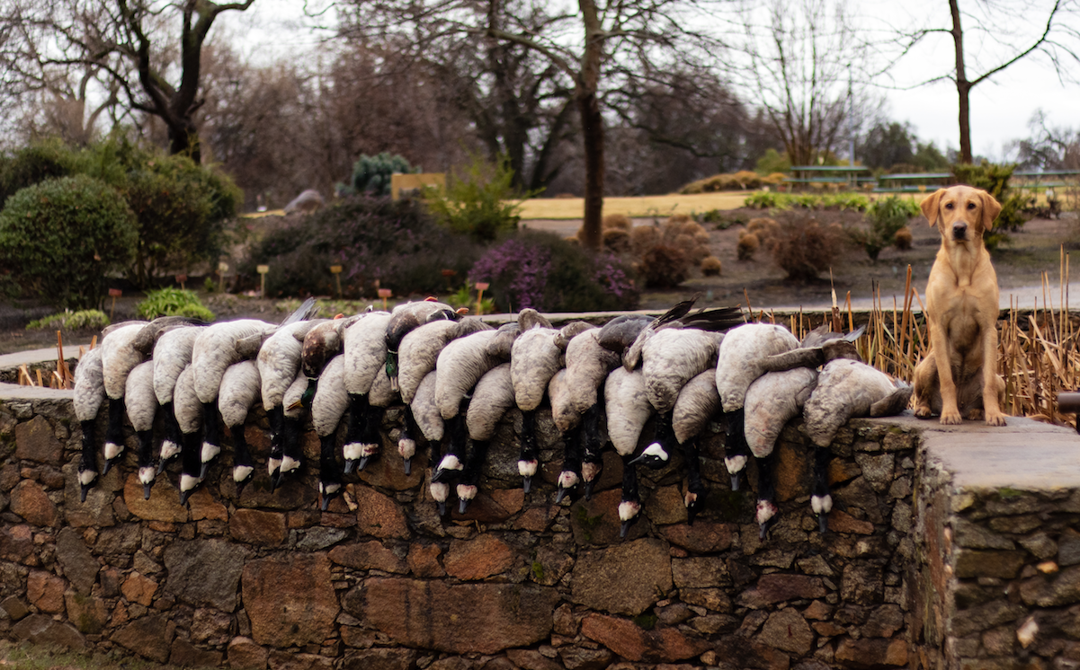 Screen Shot 2023-04-28 at 5.36.47 PM.png