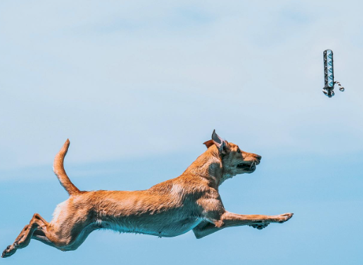 Screen Shot 2023-04-28 at 5.57.22 PM.png