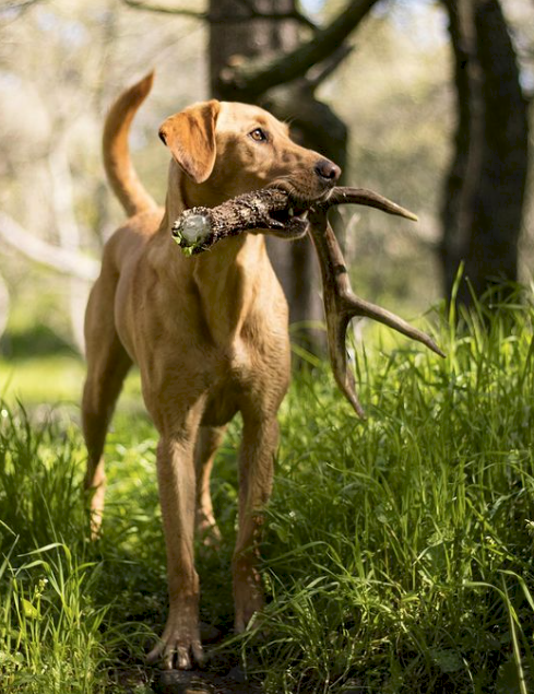 Screen Shot 2023-04-28 at 5.43.14 PM.png