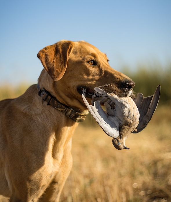 Screen Shot 2023-04-28 at 5.35.33 PM.png