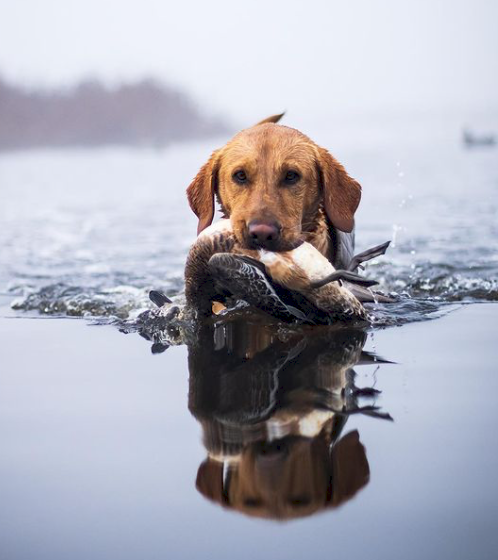 Screen Shot 2023-04-28 at 5.40.54 PM.png