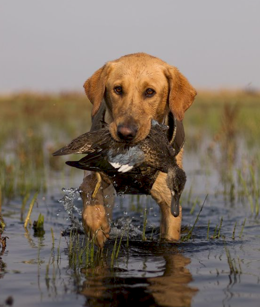 Screen Shot 2023-04-28 at 5.48.02 PM.png