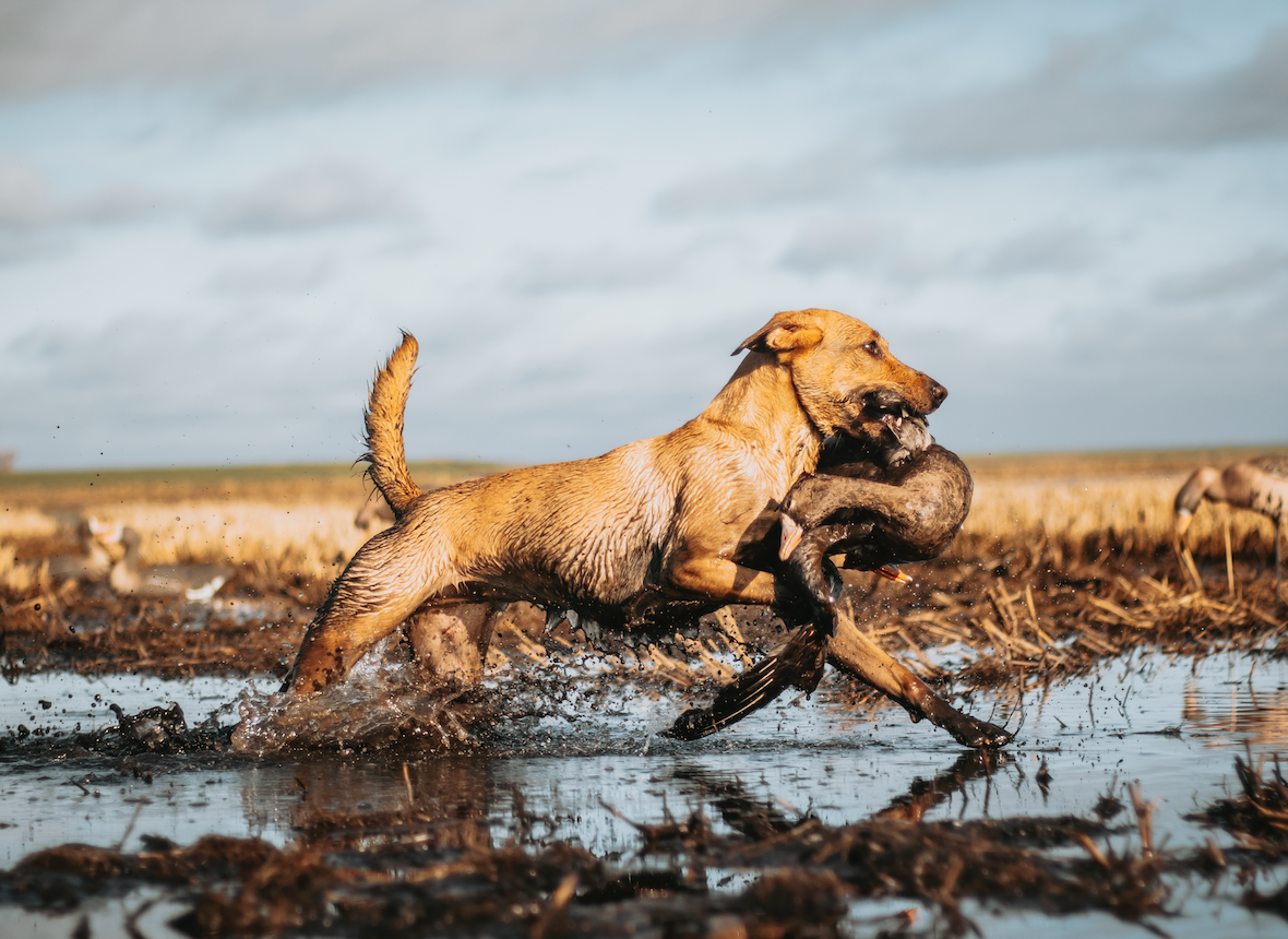 Screen Shot 2023-04-28 at 5.35.52 PM.png