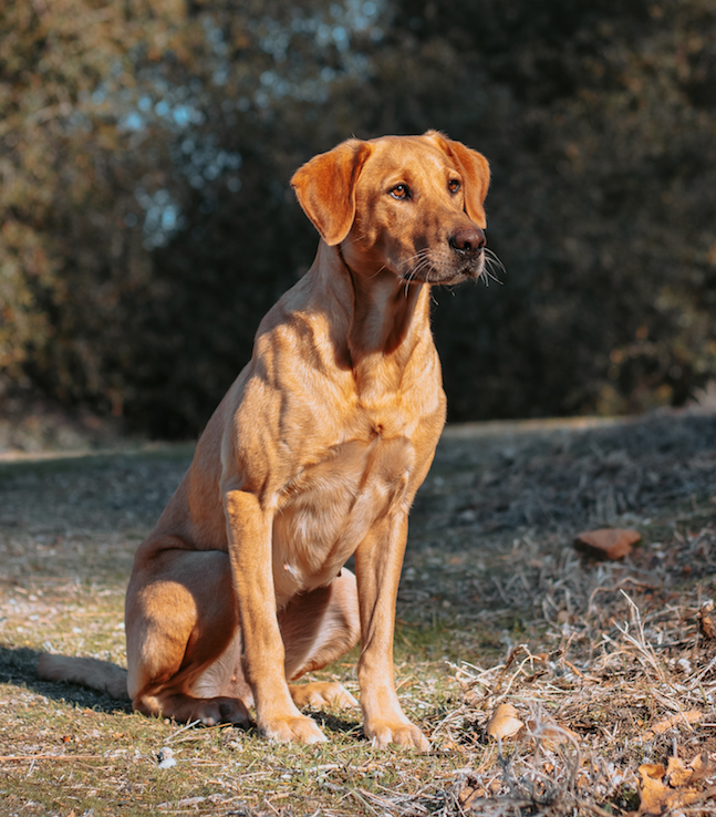 Screen Shot 2023-04-28 at 5.38.00 PM.png