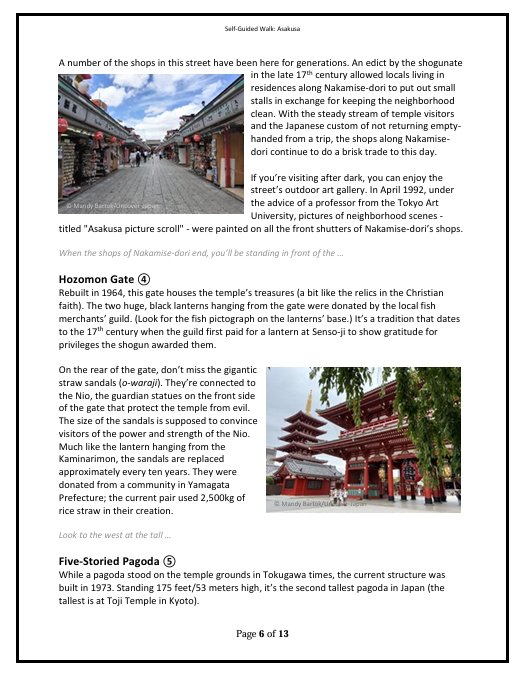 Asakusa Walk (1).jpeg