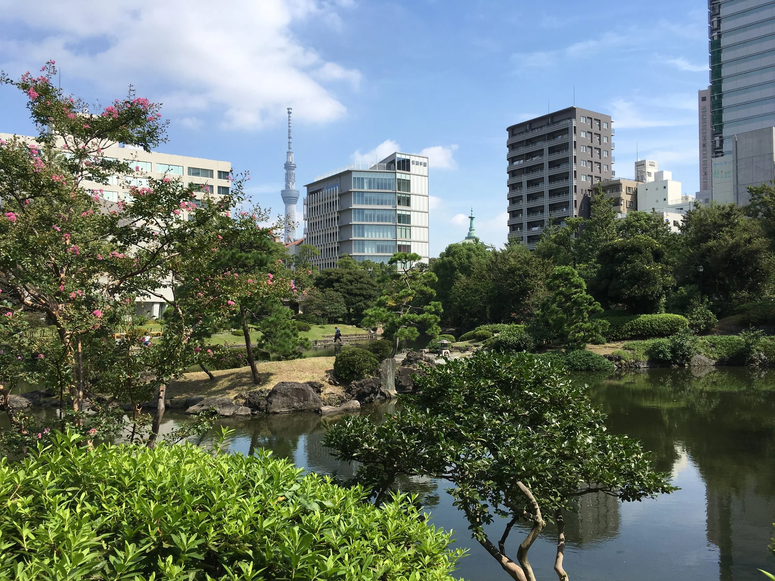 Ryogoku: Sumo Town 