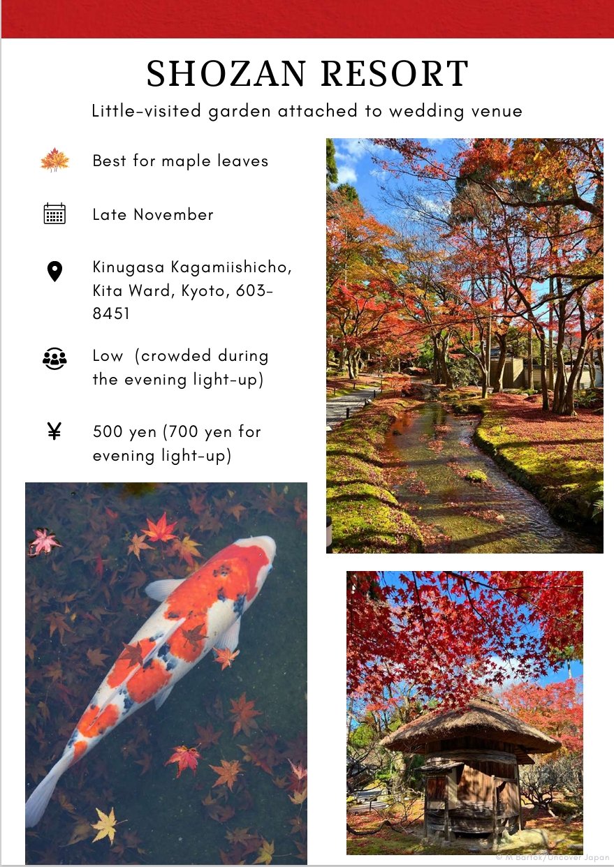Kyoto Foliage 3.jpeg