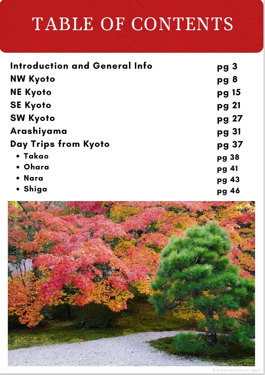 Kyoto Foliage 1.jpeg