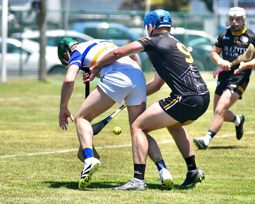 TipperaryHurlingClubvsNaFiannaatPáircnanGaelonTreasureIslandbyWilliamWaylandWW1_3948.JPG