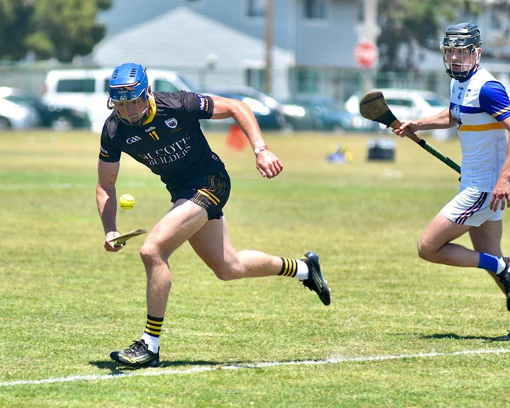 TipperaryHurlingClubvsNaFiannaatPáircnanGaelonTreasureIslandbyWilliamWaylandWW1_4078.JPG