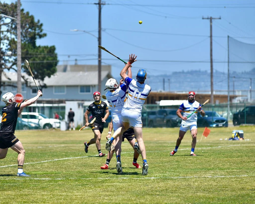 TipperaryHurlingClubvsNaFiannaatPáircnanGaelonTreasureIslandbyWilliamWaylandWW1_4190Ccopy.jpg