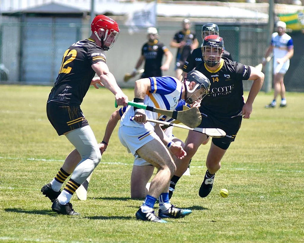 TipperaryHurlingClubvsNaFiannaatPáircnanGaelonTreasureIslandbyWilliamWaylandWW1_4407.JPG