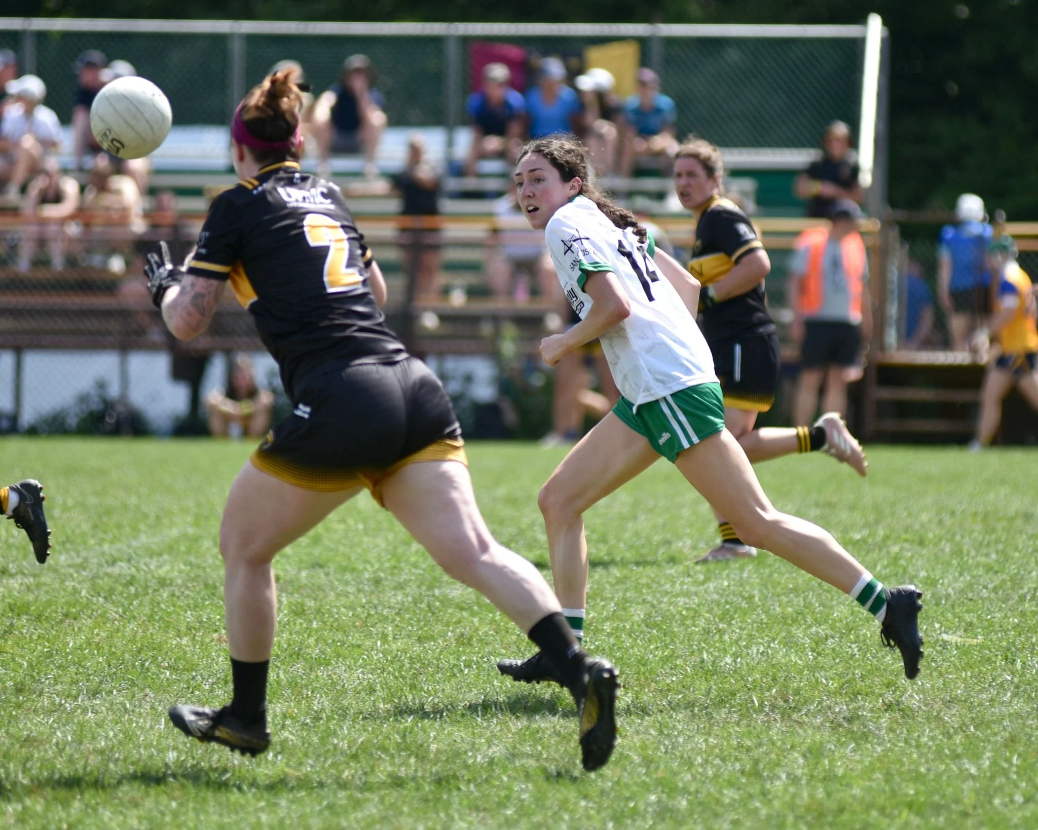 USGAAFinalsattheIrishCulturalCentreinCantonMassachusettsbyWilliamWaylandWW1_2894.JPG